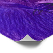 Poster abstracte leeuwen (Hoek)