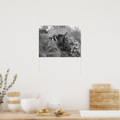 Poster - Admiral Butterfly in zwart-wit (Keuken)