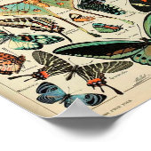 Poster - Adolphe Millot Papillons Butterflies (Hoek)