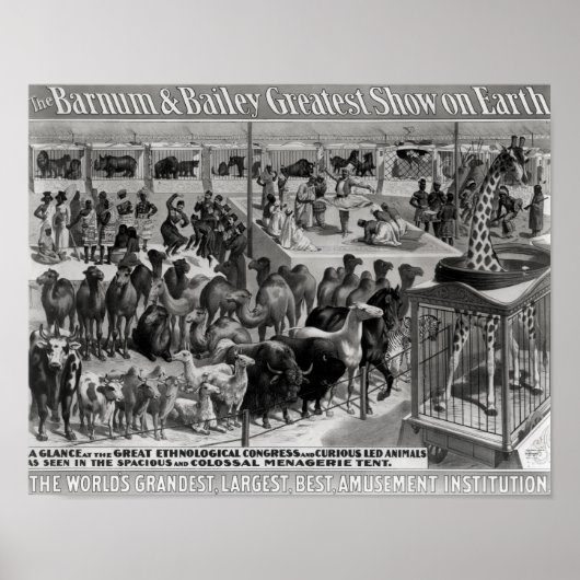 Poster adverteren: "De Barnum en Bailey (Voorkant)