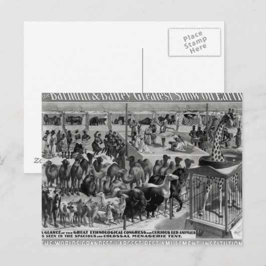 Poster adverteren: "De Barnum en Bailey Briefkaart (Voorkant / Achterkant)
