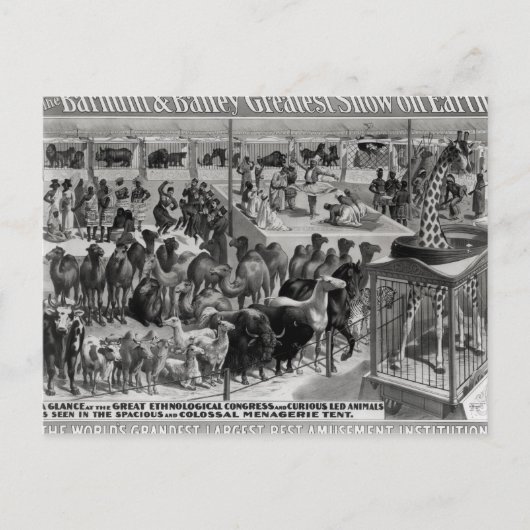 Poster adverteren: "De Barnum en Bailey Briefkaart (Voorkant)