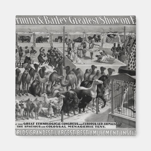 Poster adverteren: "De Barnum en Bailey Magneet (Voorkant)