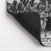 Poster adverteren: "De Barnum en Bailey Muismat (Hoek)