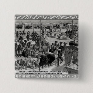 Poster adverteren: "De Barnum en Bailey Vierkante Button 5,1 Cm