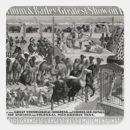 Poster adverteren: "De Barnum en Bailey Vierkante Sticker (Voorkant)
