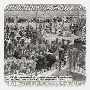 Poster adverteren: "De Barnum en Bailey Vierkante Sticker