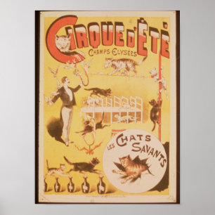 Poster adverteren de Cirque d'Ete in de