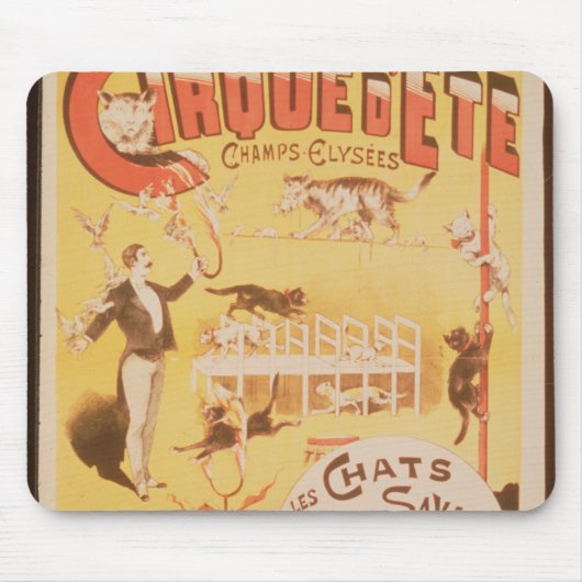 Poster adverteren de Cirque d'Ete in de Muismat (Voorkant)
