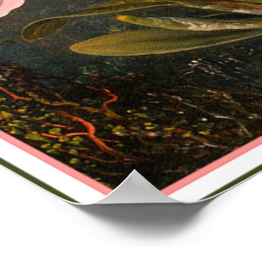 Poster/Afdruk: Cattleya Orchid & Drie Hummingvogel Poster (Hoek)