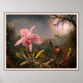 Poster/Afdruk: Cattleya Orchid & Drie Hummingvogel Poster (Voorkant)