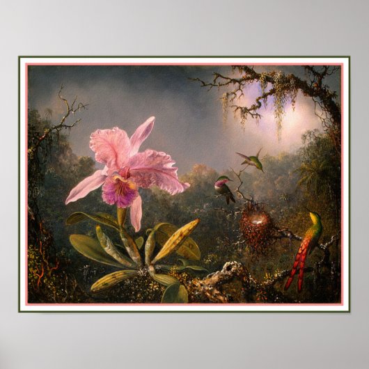 Poster/Afdruk: Cattleya Orchid & Drie Hummingvogel Poster (Voorkant)