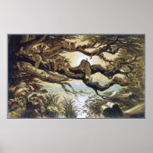 Poster/Afdruk: Fairyland: Slaap in het moonlicht Poster (Voorkant)