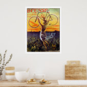 Poster/afdruk fiets:  Frans Poster ~ ~ (Keuken)