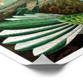 Poster/Afdruk: Hummingvogels door Haeckel Poster (Hoek)