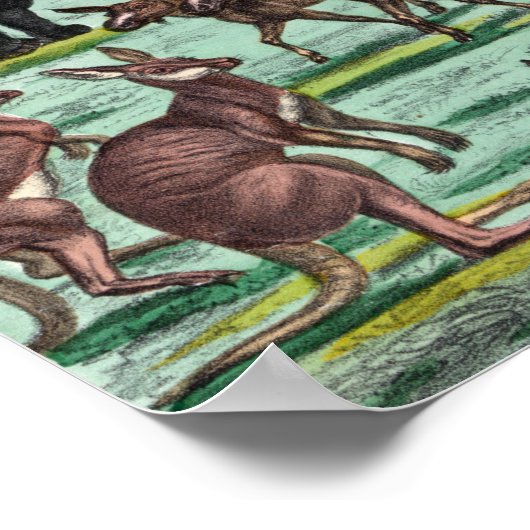 poster/afdruk "Noah's Ark" Poster (Hoek)