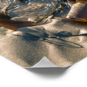 Poster/afdruk zeewier poster (Hoek)