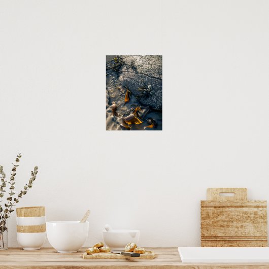 Poster/afdruk zeewier poster (Keuken)