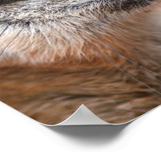 Poster afdrukken (Hoek)