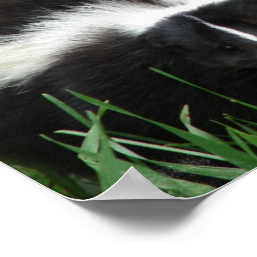 Poster afdrukken (Hoek)