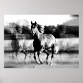 Poster afdrukken bij paarden - Posters met B&W-paa (Voorkant)