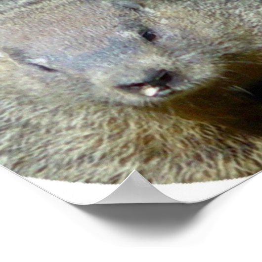 Poster afdrukken grondhog (Hoek)