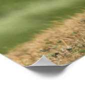 Poster/afdrukken Poster (Hoek)