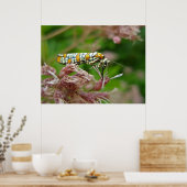 Poster Ailanthus Webworm Moth (Atteva punctella) (Keuken)