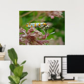 Poster Ailanthus Webworm Moth (Atteva punctella) (Thuiskantoor)