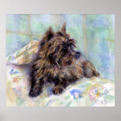 Poster airn Terrier Dog Portret Print (Voorkant)