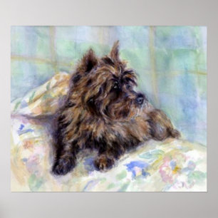 Poster airn Terrier Dog Portret Print