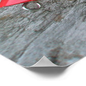 Poster AJS Lure Popper "Het draait allemaal om Gev (Hoek)