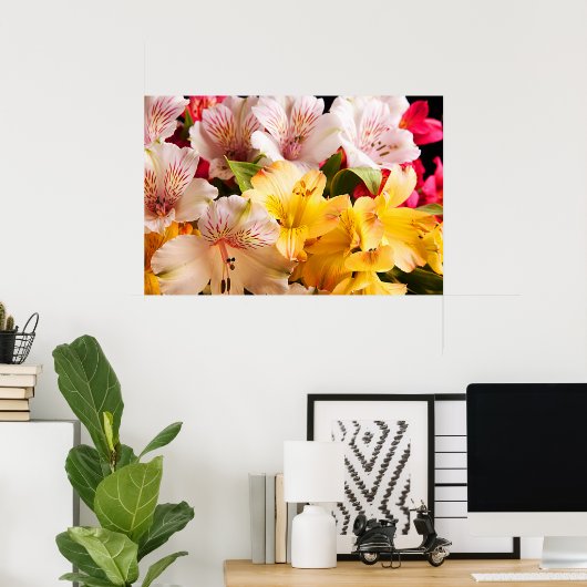 Poster Alstroemeria Flowers/Print (Thuiskantoor)