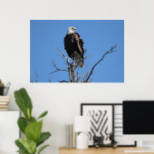 Poster Amerikaanse Bald Eagle (Thuiskantoor)