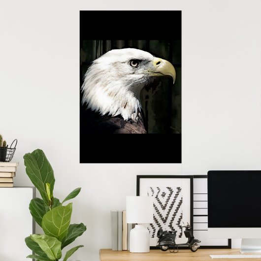 Poster Amerikaanse Bald Eagle Print Eagles Posters (Thuiskantoor)
