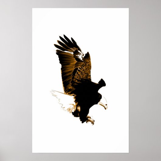 Poster Amerikaanse Bald Eagle Print Eagles Posters (Voorkant)