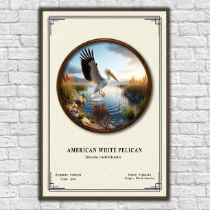 Poster Amerikaanse Witte Pelikaan Zoölogie Serie
