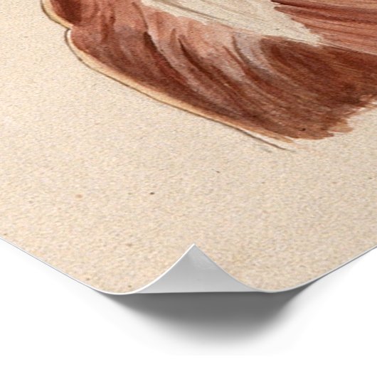  Poster anatomigenkaart (Hoek)