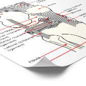 Poster Anatomisch diagram rechtskniegewricht (Hoek)