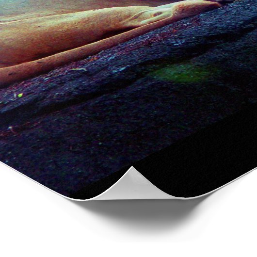 Poster-Animals-27 Poster (Hoek)