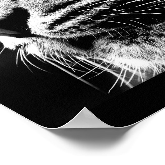 Poster-Animals-40 Poster (Hoek)