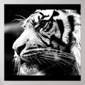 Poster-Animals-40 Poster (Voorkant)