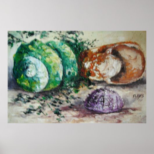 Poster Ann Hayes Painting Sea Shells (Voorkant)