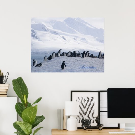 Poster Antarctica (Thuiskantoor)