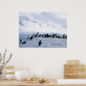 Poster Antarctica (Keuken)