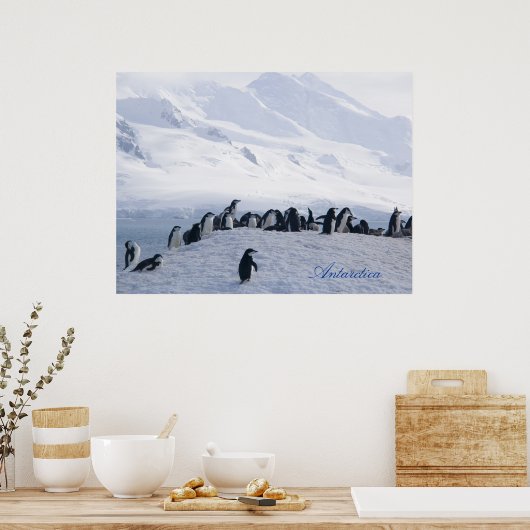 Poster Antarctica (Keuken)