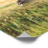 Poster Antiek autofoto's (Hoek)