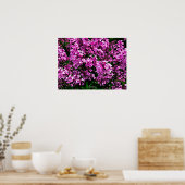 Poster - Antiek Paarse Lilacs in Highland Park (Keuken)