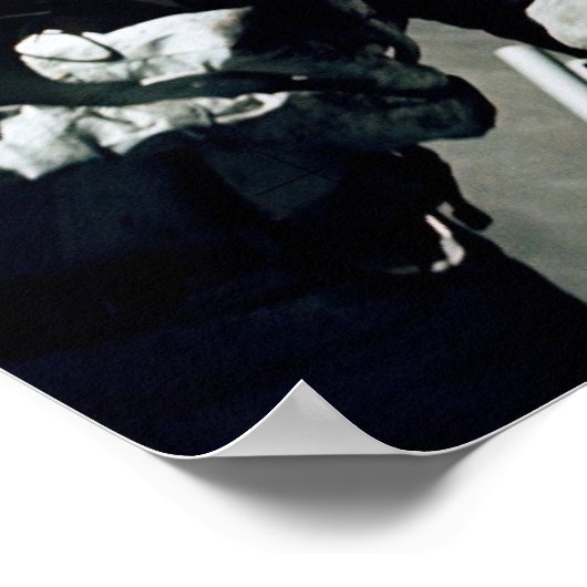 Poster / Apollo 17 / Laatste Apollo landend op maa (Hoek)