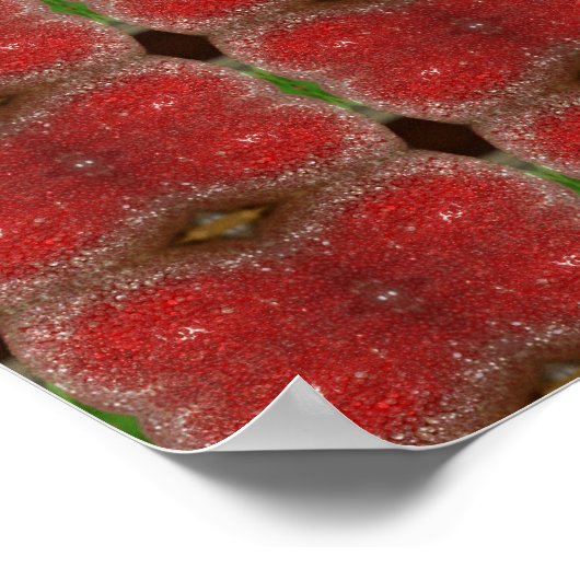 Poster Apple Frost (Hoek)